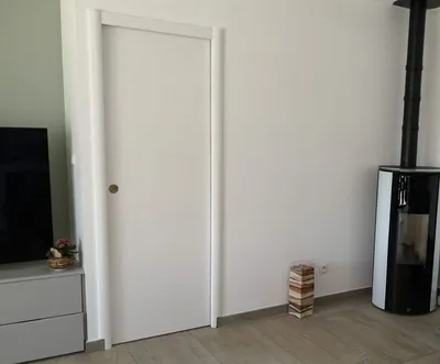 Salon avec mur vert sage, porte blanche laquée et poêle à bois noir